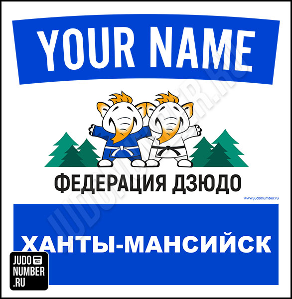 Наспинный номер клубного стандарта ФД «Ханты-Мансийск» (Ханты-Мансийск) 002b